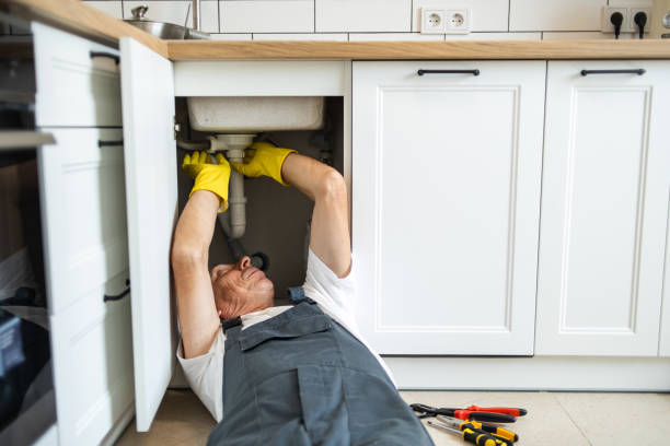 Best Clogged Drain Plumber  in Pinetops, NC